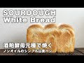 【天然酵母】食パン②元種法で焼く山食パン、WHITE BREAD、自家製天然酵母