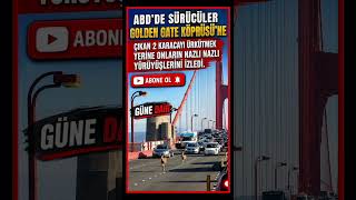 Golden Gate Köprüsünde Şaşırtan An Trafik Durdu
