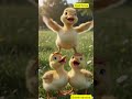 Dyah Purwa, Bebek akrobat. #cute #animals #rabbit
