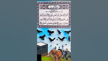 تلاوة القرآن الكريم سوره الفيل