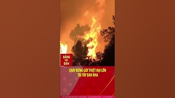 Cháy rừng gây thiệt hại lớn tại Tây Ban Nha #shorts