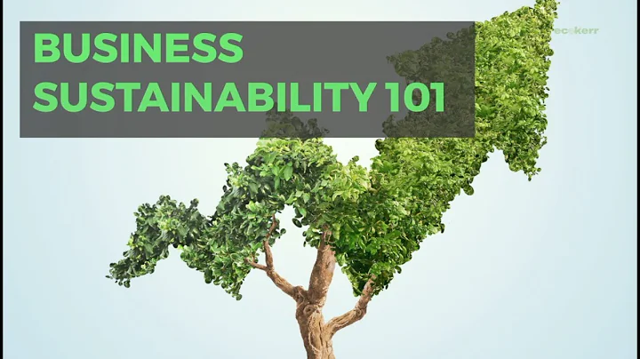 Business Environmental Sustainability | Importance of Business Sustainability 2019