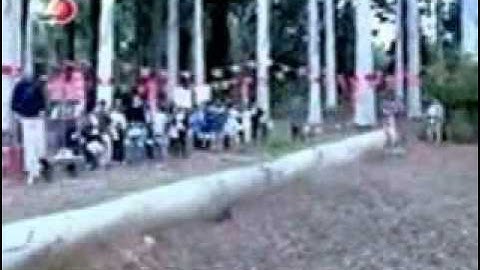 Funny Compilation from www metacafe com