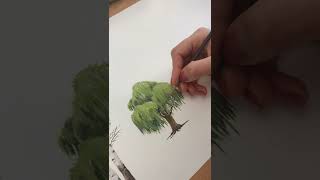 Famous Willow tree #art #shorts #gouache Net Worth