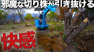 A huge stump in the garden is uprooted and disappears! The power of Yumbo is amazing... [Day 335]