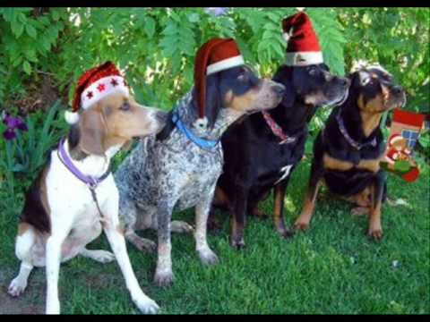 dogs barking christmas songs cd