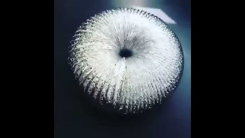 Self Revolving Torus