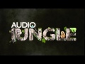 Sound Alien Dizzy Ding AudioJungle mp3