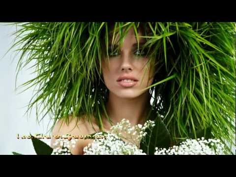 Les Fleurs Sauvages Richard Clayderman