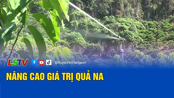 Nâng cao giá trị quả na | Khoa học công nghệ và đời sống 05/7/2025 | LSTV
