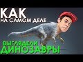 Как на самом деле выглядели динозавры? - ТОПЛЕС