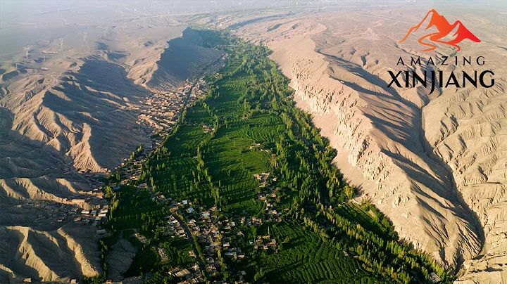 Live: Explore the sweetness of Grape Valley in Turpan, Xinjiang - DayDayNews