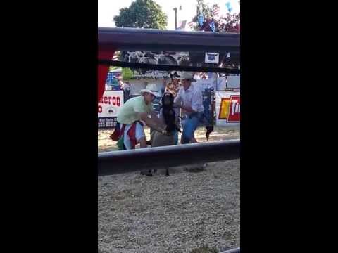 Little girl in sheep riding event