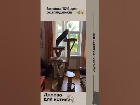 @DonKoteCatTree #дерево #кігтеточка #ліс #котики #замовити #затишок # ...