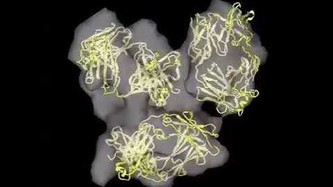 3D Structure of a Protein