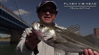 トサカヘッド Youtube