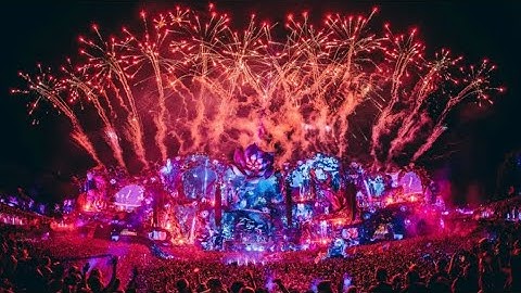 David Guetta | Tributo a Avicii ( Live Tomorrowland 2024 )