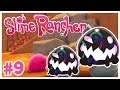 Slimeların Hepsini Canavarlar Yedi !  -  Slime Rancher Türkçe - Bölüm 9    SON