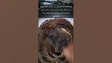 ١ آب ٢٠٢٥ کونجی گازۆی کونجی لەبازاڕ زۆر خۆشتر بەسودو خاوێن لەماڵەوە دروستیکە لەسەرقیاسی من 