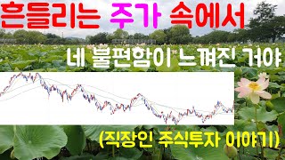 흔들리는 주식시장에서 경제적자유를 원하는 직장인 투자자