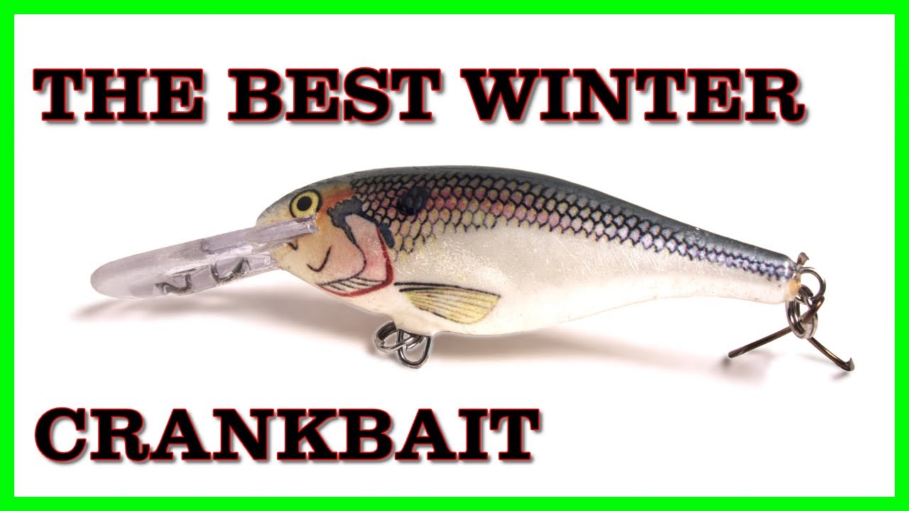 Shad Rap Fishing  Winter Crankbait Bass Fishing 