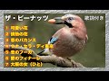 ザ・ピーナッツ【歌詞付き】昭和レトロ Quad HD/60
