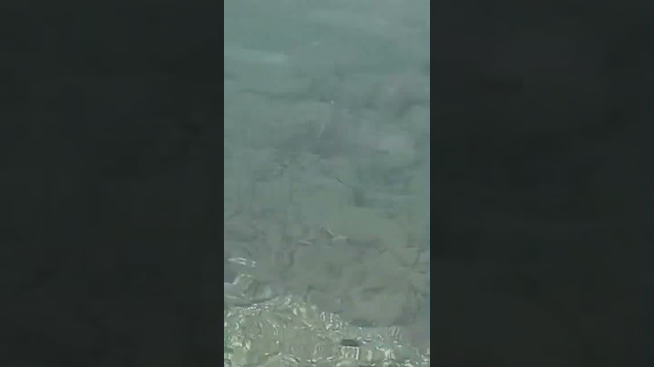 πάμε βόλτα για ψάρεμα καλημέρα