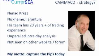 CAMMACD Forex Trading System Explained CAMMACD Forex Trading System Explained