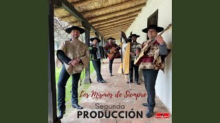 Video thumbnail of "Los Mismos de Siempre - Mi Amor No Muere"