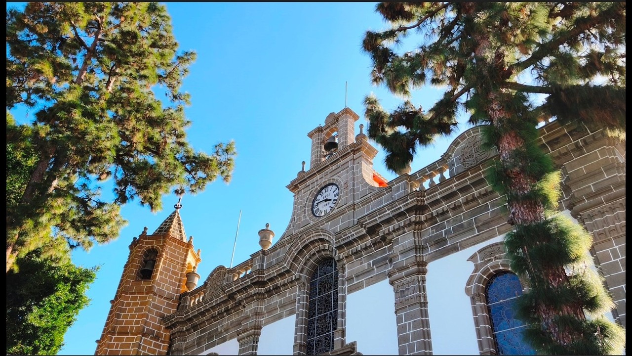 Nos vamos al Pino. Teror