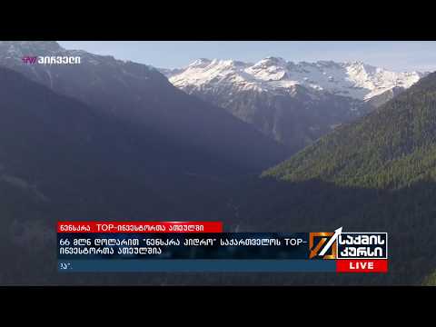 66 მლნ დოლარით „ნენსკრა ჰიდრო“ საქართველოს TOP ინვესტორთა ათეულშია