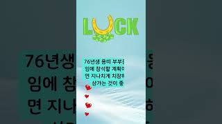 용띠 오늘의 운세