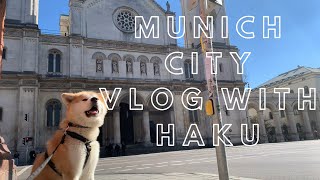 Munich City Vlog with Akita Inu Haku