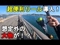 【千葉県某所】新リールのテスト中に想定外の大物が！？梅雨の時期に関東地方の房総半島の東京湾側に面している内房の地域にある釣り場で、サビキ釣りと泳がせ釣りをしていたら…！【2025年6月中旬】