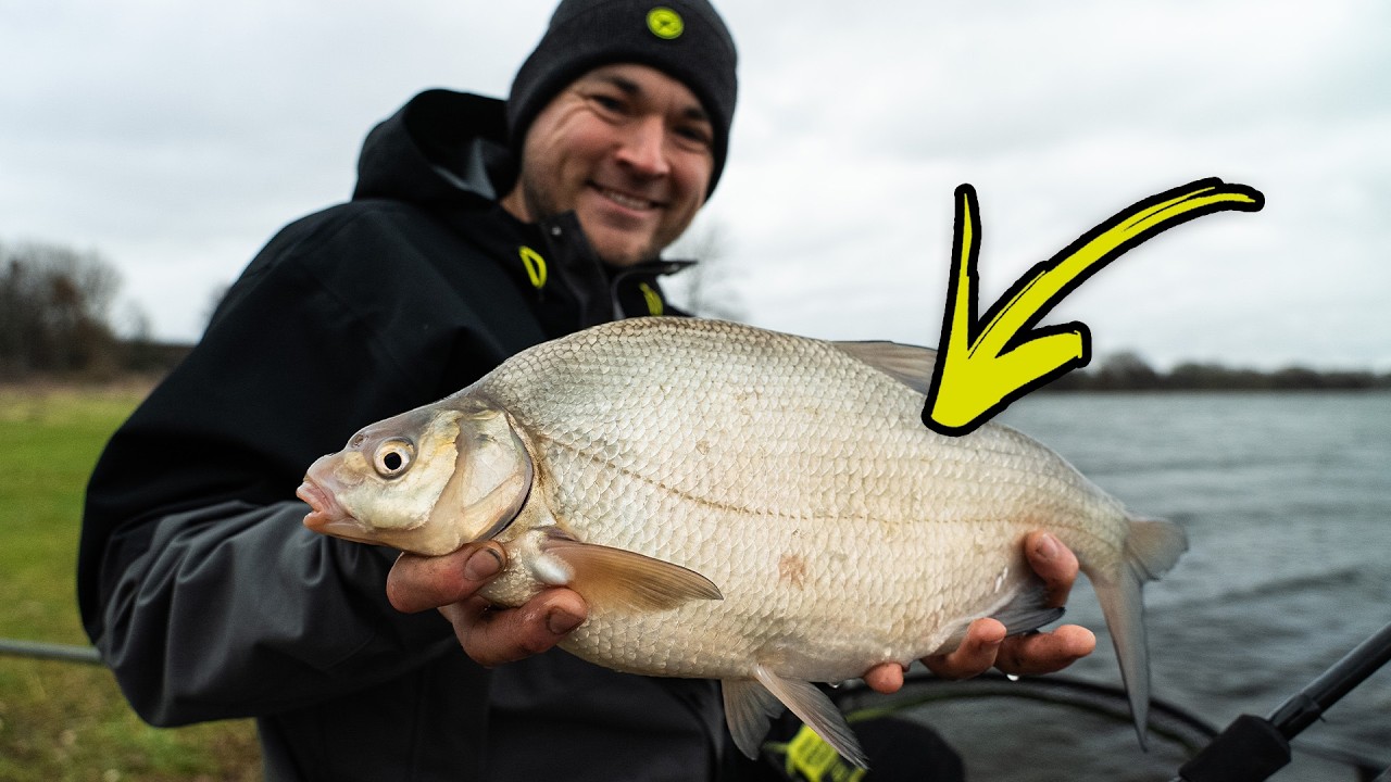 Fische fangen trotz Kälte - So geht´s!