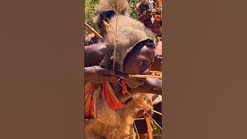 Africa Wild Hunt | Hadzabe Marksman’s Precision Shot.#shorts #wildlife #trending