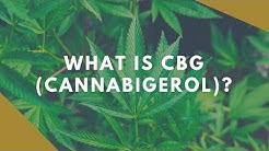 What is CBG Oil?