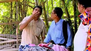 ရယ္စရာေလးမ်ား