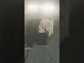 Happier Than Ever Album Terbaru Billie Eilish Sudah Rilis! #Shorts