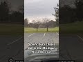 Michigan Buck Chases Doe #deer #hunting #michigan #fall #outdoors #wildlife #wildanimals #animals