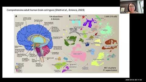 PGC WWL: Connecting genomic results for psychiatric disorders to human brain cell types and regions