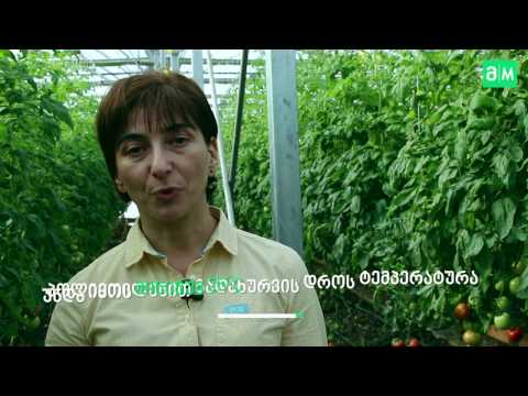 რა მასალით გადავხუროთ სათბური?