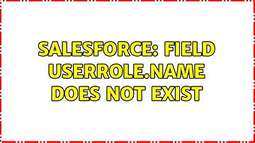 Salesforce: Field UserRole.Name does not exist