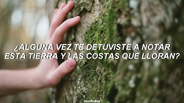 Michael Jackson - Earth Song [Sub español]