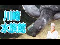 カワスイ川崎水族館(内覧会)にイクミママが行ってきた～（前編）★コラボドーナツもカワスイにて販売中♪