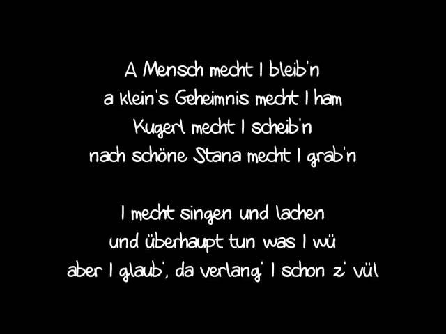 WOLFGANG AMBROS - A Mensch möcht' i bleib'n