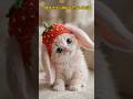 可愛すぎて悶絶…最高の子猫たち5選 🐾 Wait for # 1! #shorts #猫 #cat