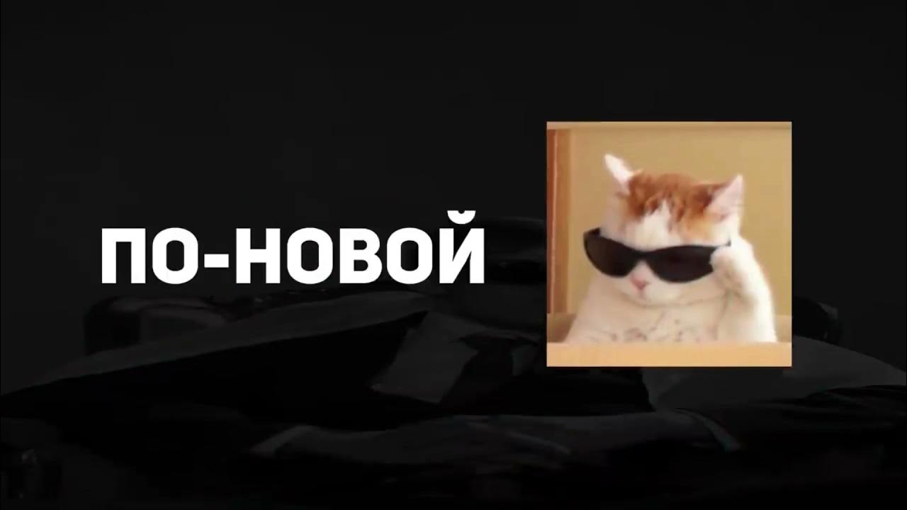 мемная папка ксенон мемный папка. Memnaya papka, ksenon - мемный папка (премьера клипа, 2022). нюхай бебру фонк ремикс. включи мемная папка. включи мемная папка.