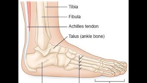 Arthrotomy Ankle CPT code - simplify medical coding