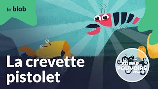 La crevette pistolet, le cowboy des fonds marins | Les super-pouvoirs du vivant